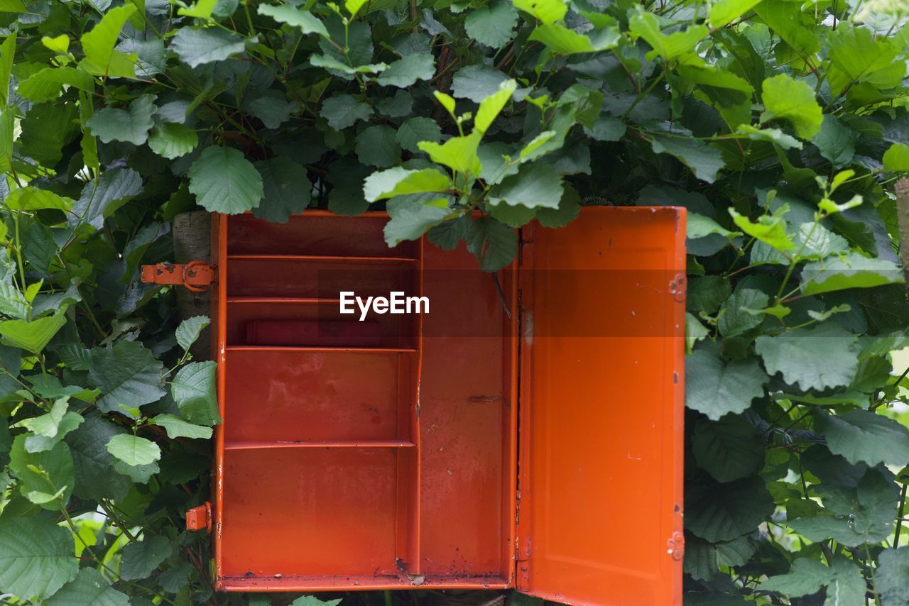 CLOSE-UP OF RED DOOR ON PLANT