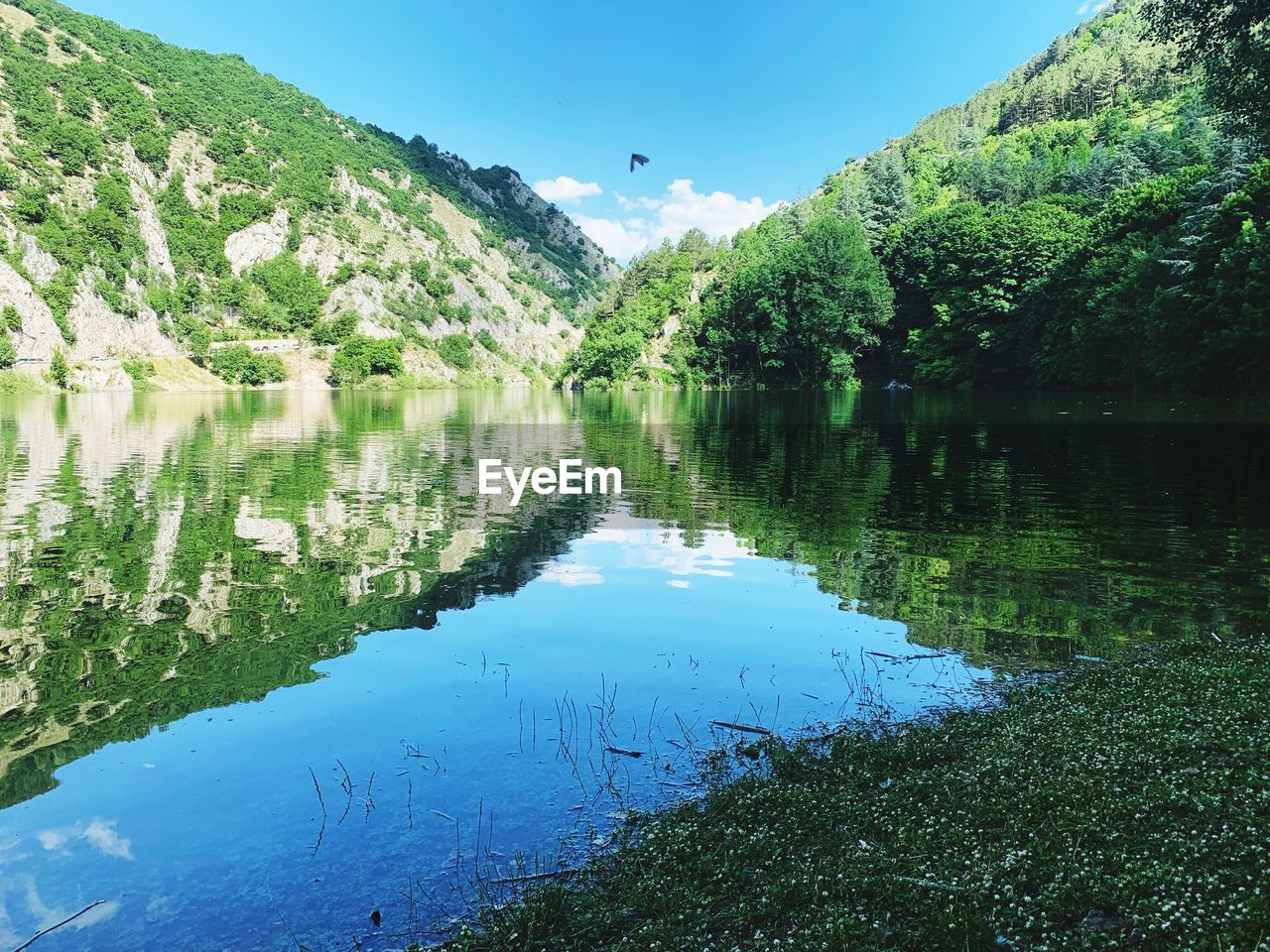 Scenic view of lake by trees against sky