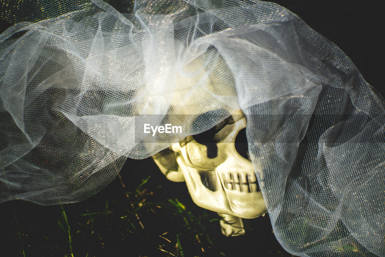 Close-up of human skull and veil on field at night