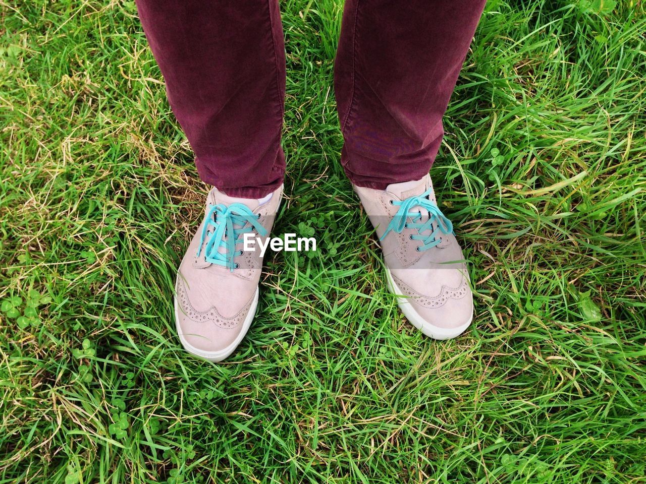 Low section of man standing on grassy field