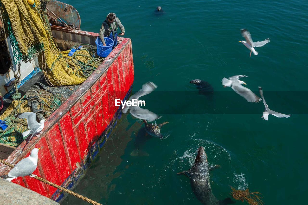 HIGH ANGLE VIEW OF DUCKS AND BOATS MOORED AT SEA