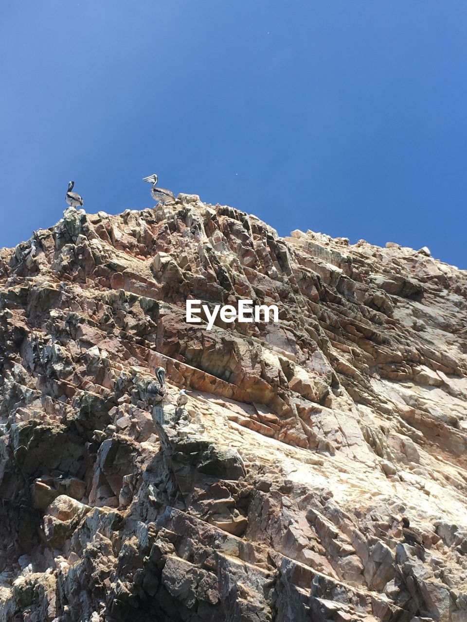 LOW ANGLE VIEW OF BIRD PERCHING ON ROCK AGAINST SKY