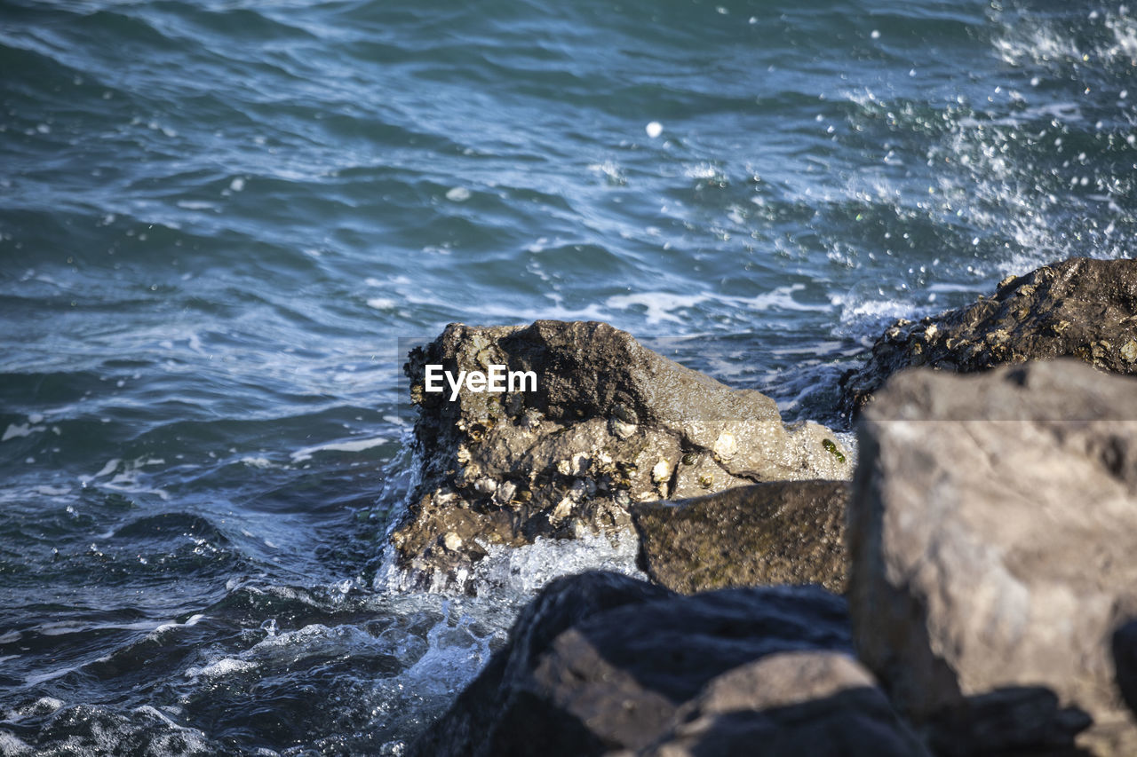 water, rock, sea, ocean, wave, coast, shore, motion, wind wave, nature, no people, beach, terrain, beauty in nature, day, land, outdoors, cliff, splashing, sports, scenics - nature, sunlight, rock formation, body of water