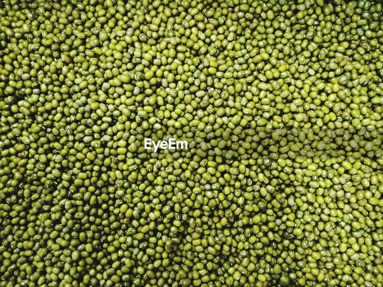 Full frame shot of mung beans