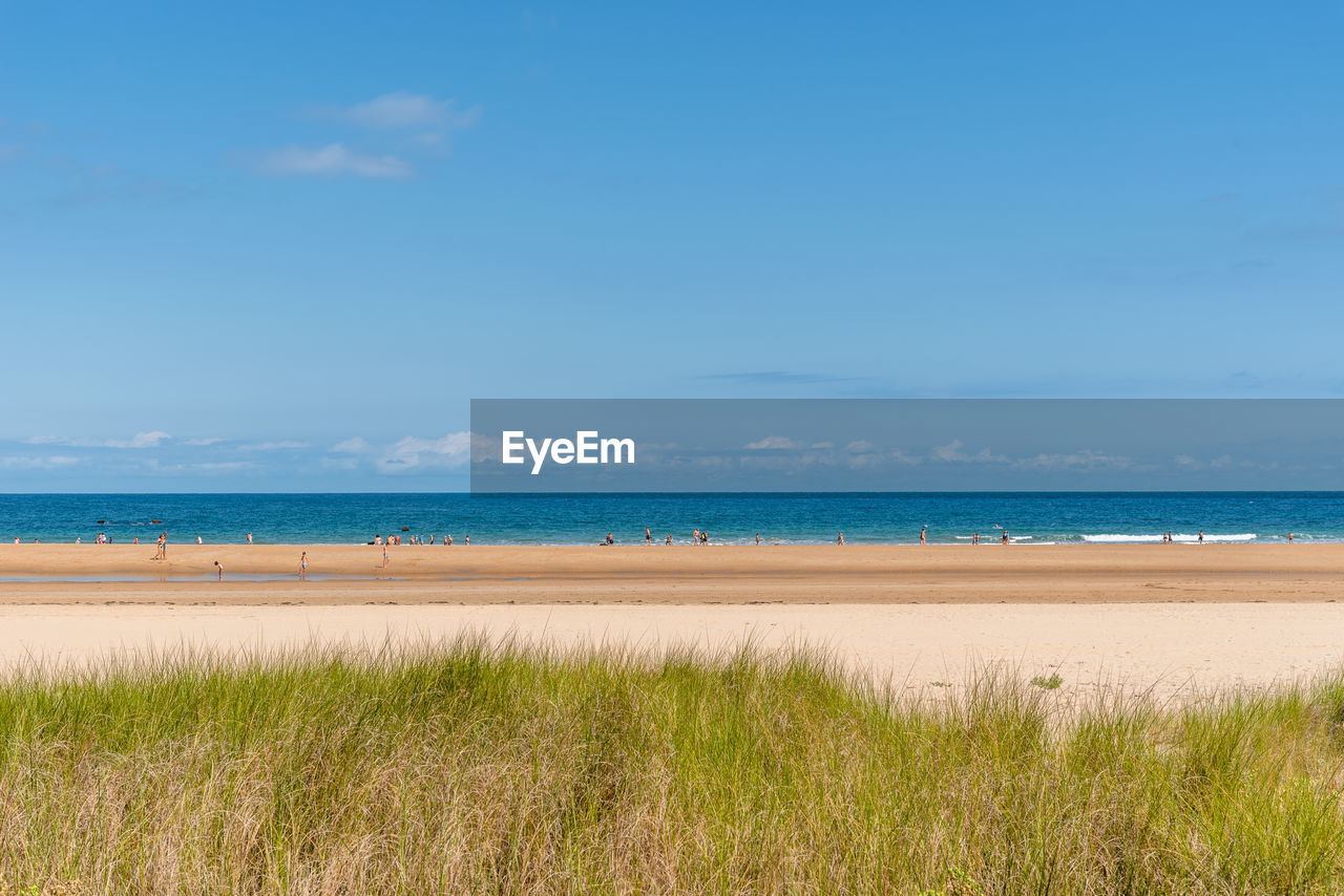 Scenic view of beach with grass on foreground on blue sky