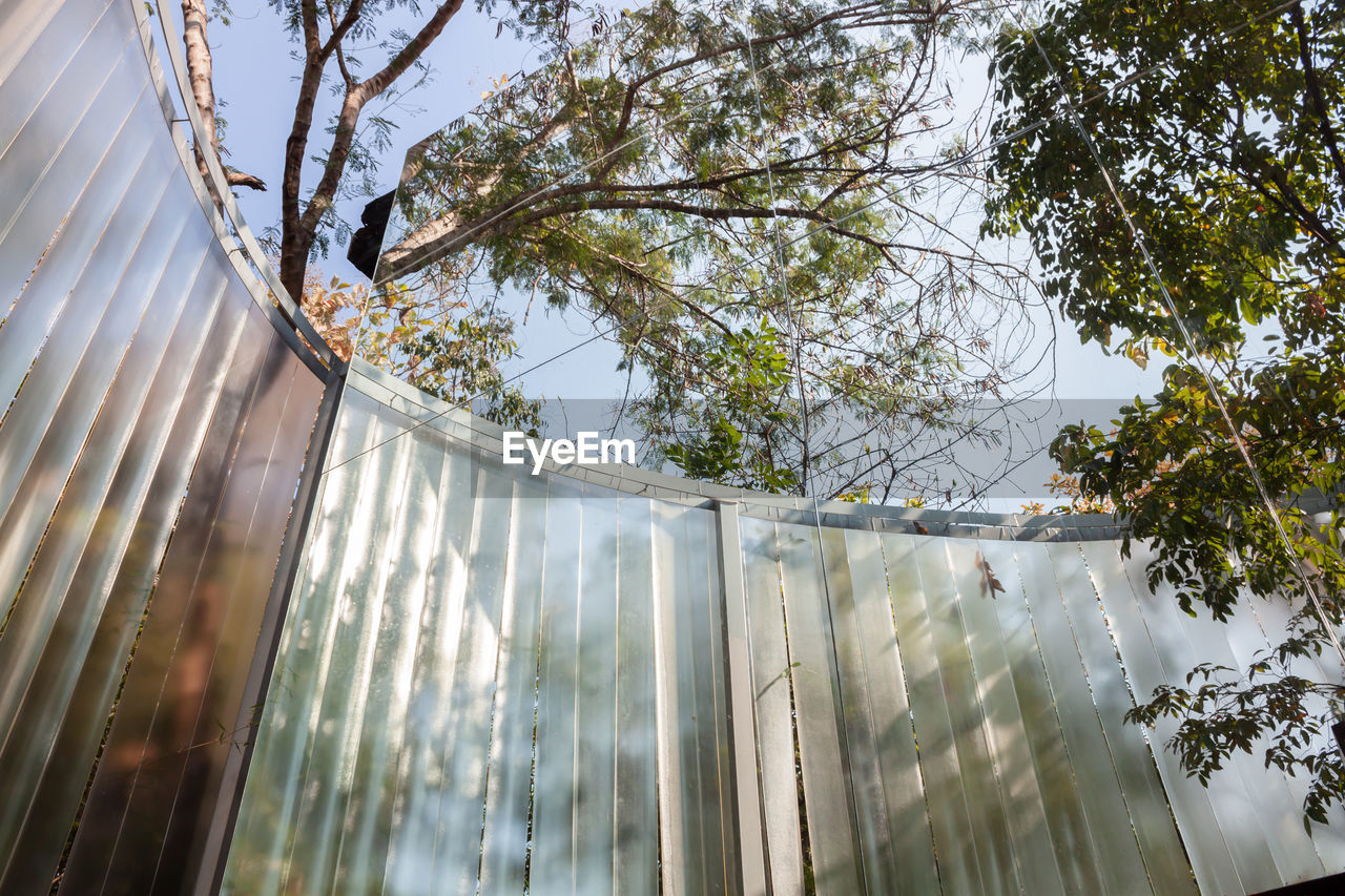 LOW ANGLE VIEW OF TREES AND PLANTS AGAINST BUILDING