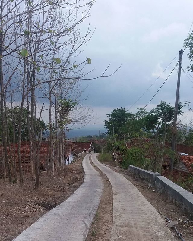 VIEW OF ROAD ALONG TREES