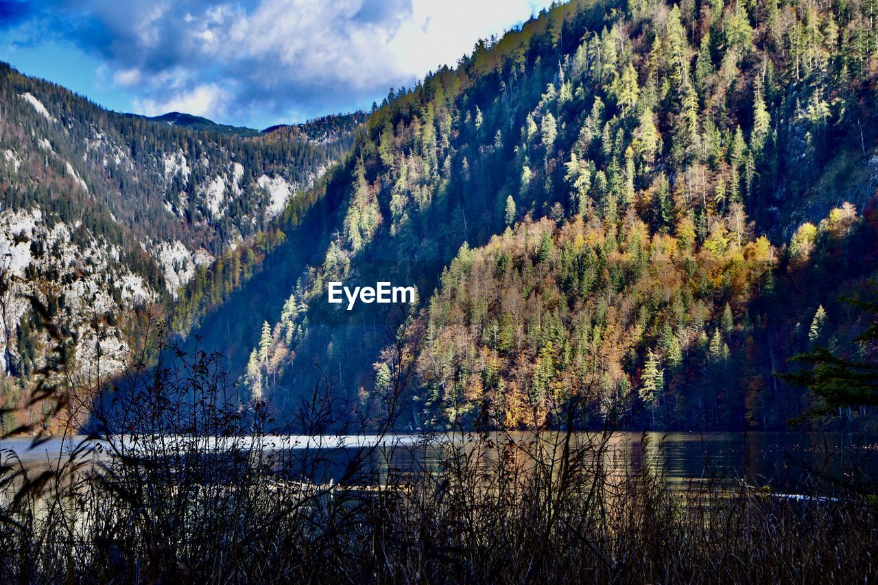 Scenic view of lake in forest and mountains against sky