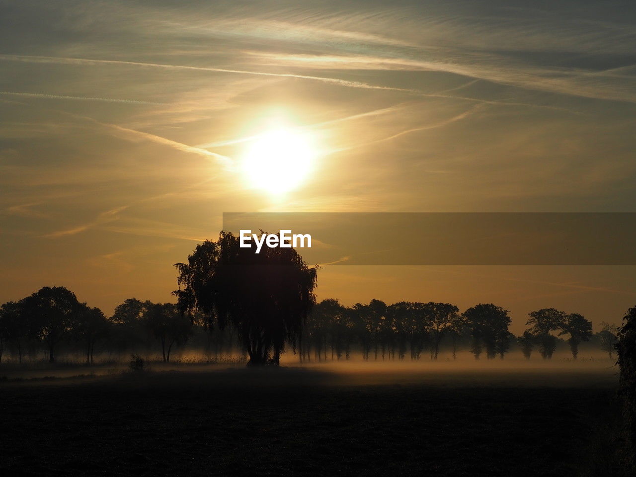 sky, tree, plant, beauty in nature, sunset, horizon, nature, scenics - nature, environment, tranquility, dawn, landscape, cloud, sun, silhouette, tranquil scene, sunlight, land, evening, no people, outdoors, idyllic, water, non-urban scene, field, sunbeam, afterglow, back lit, orange color, light