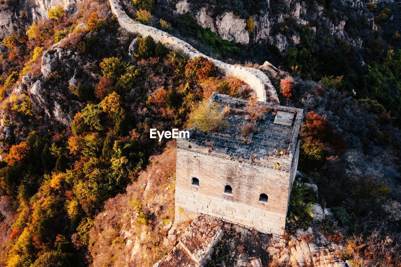 HIGH ANGLE VIEW OF TREES AND BUILDINGS