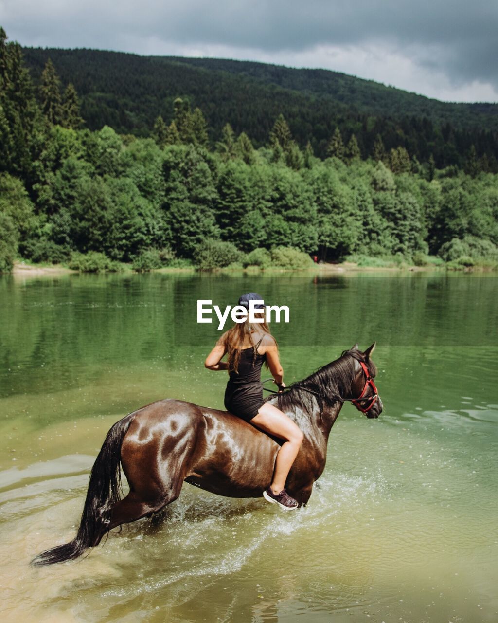 VIEW OF MAN RIDING HORSE IN LAKE