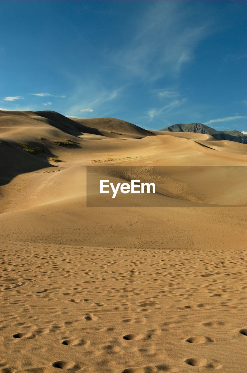 Idyllic shot of sand dunes in desert