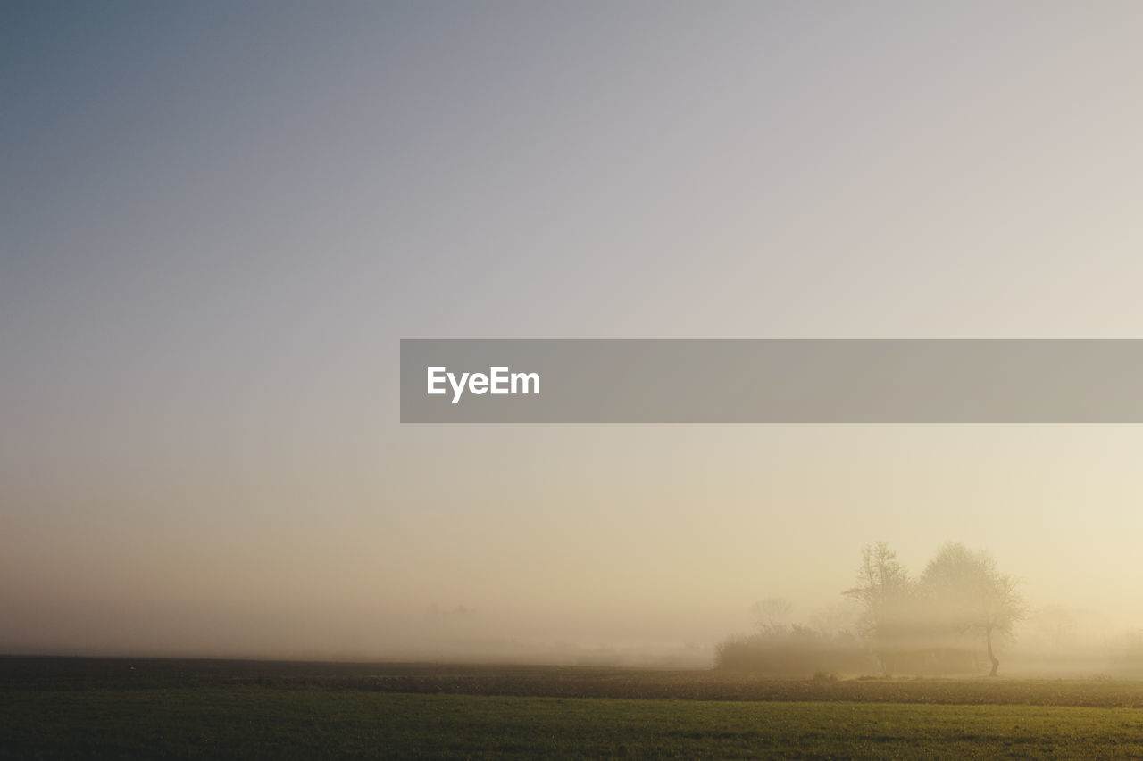 Scenic view of field against sky during foggy weather