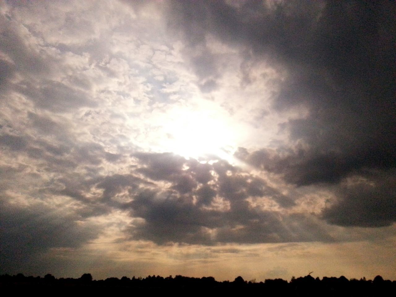 SILHOUETTE OF TREES AGAINST CLOUDY SKY