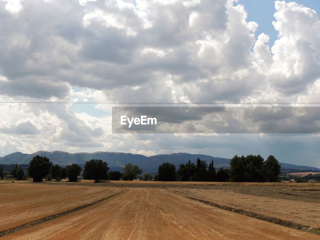 cloud, sky, horizon, landscape, field, environment, plain, prairie, nature, plant, land, rural area, rural scene, tree, agriculture, road, scenics - nature, no people, soil, grassland, beauty in nature, transportation, hill, outdoors, cloudscape, day, tranquility, farm, sunlight, steppe, dirt, cereal plant, non-urban scene, crop, tranquil scene, travel, dirt road, growth