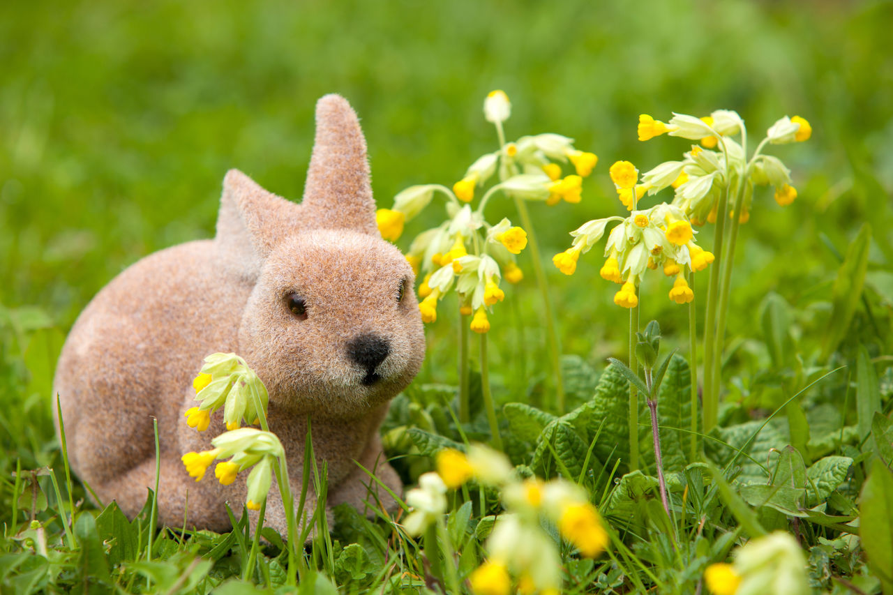 Close-up of rabbit toy by plants on grassy field