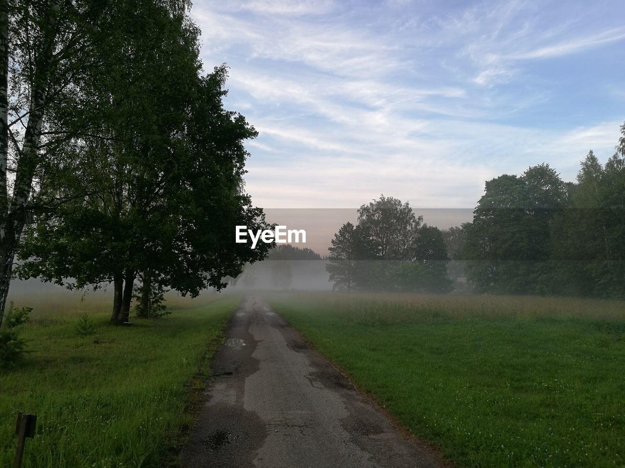 Road passing through field