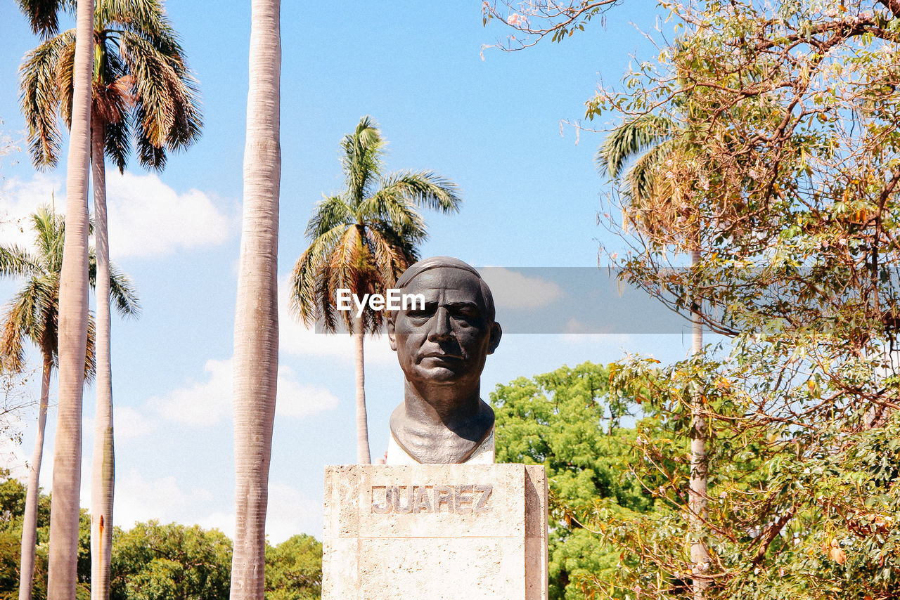 Low angle view of statue amidst trees against sky