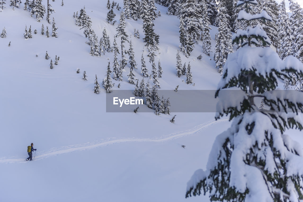 Woman following skin tracks in the backcountry