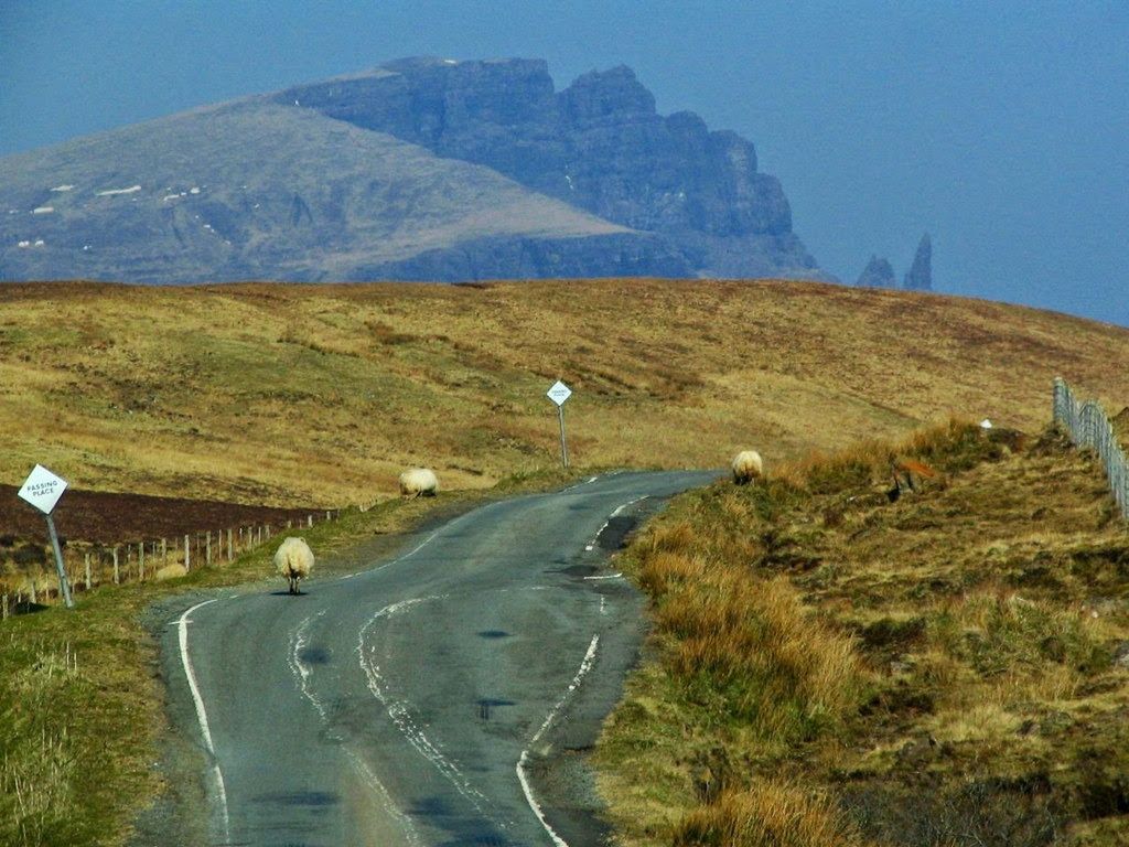 ROAD PASSING THROUGH FIELD