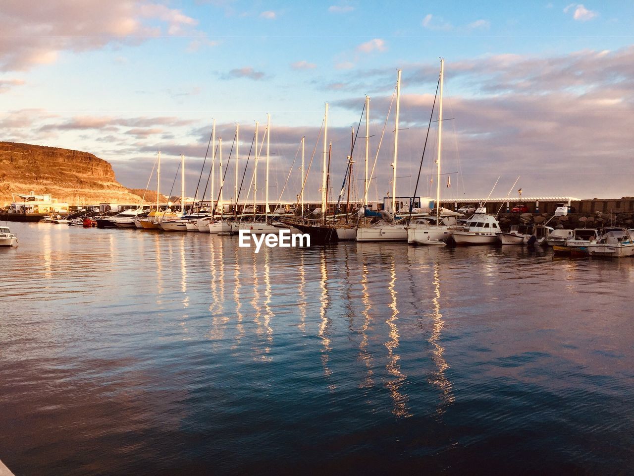 Sailboats moored at harbor against sky