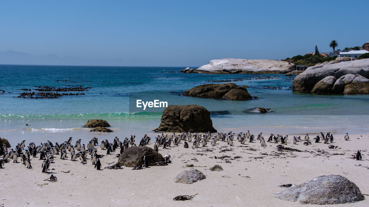 scenic view of beach against clear sky