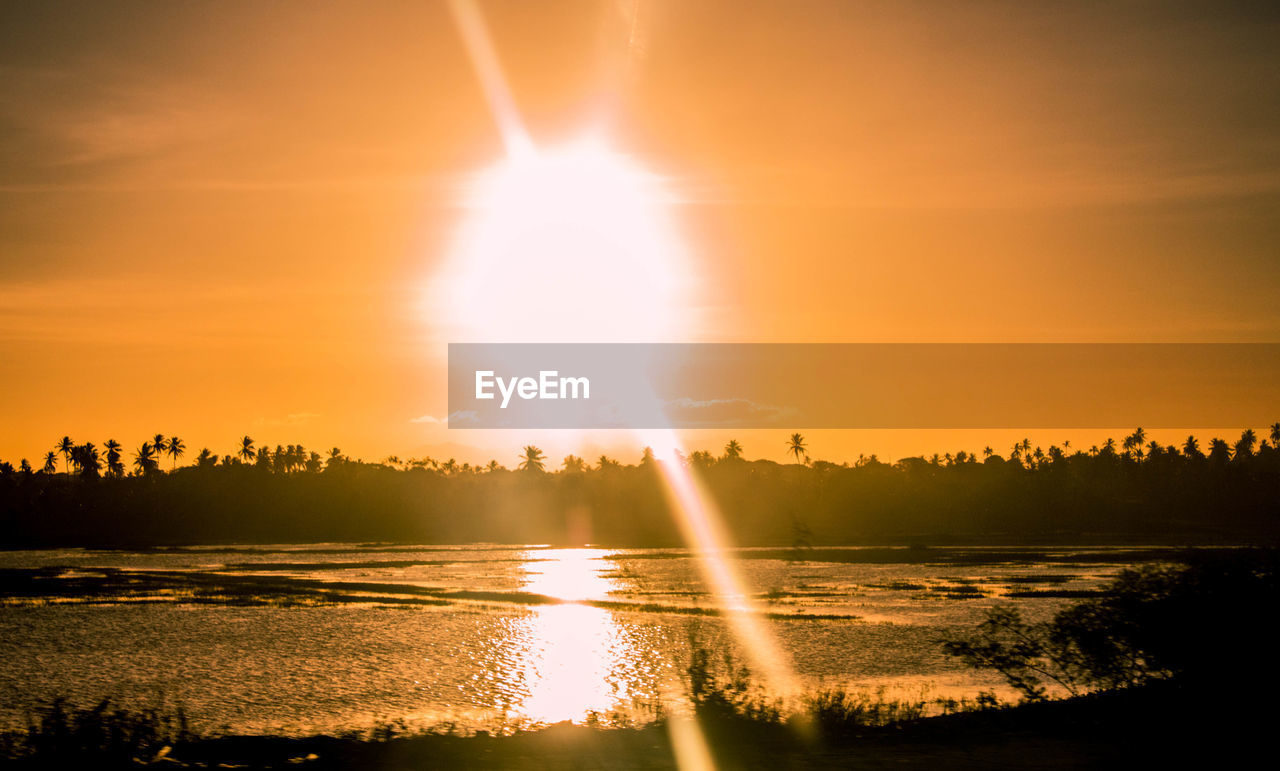 SCENIC VIEW OF SUNSET OVER SILHOUETTE TREES