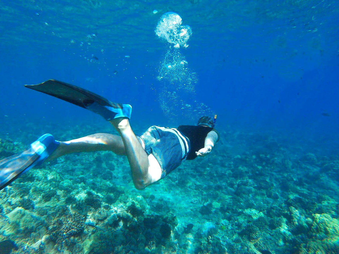 Rear view of man snorkeling in sea