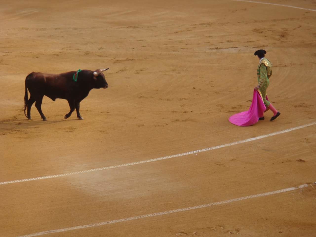 FULL LENGTH OF MAN WITH HORSE