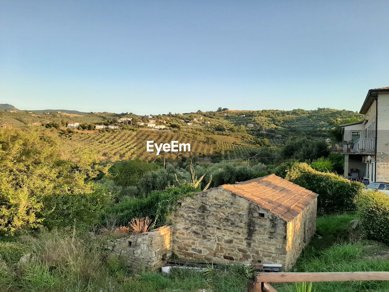 Plants and houses on field against clear sky