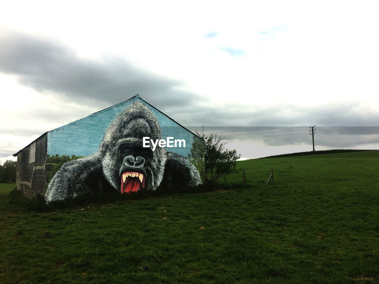 HOUSE ON FIELD AGAINST SKY