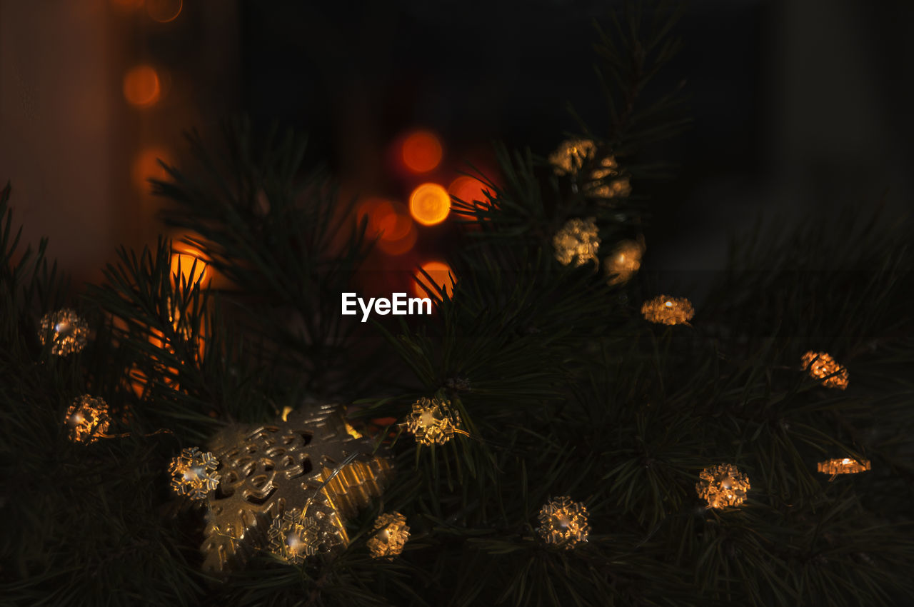 CLOSE-UP OF ILLUMINATED CHRISTMAS TREE