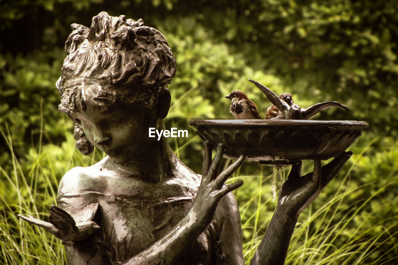 Close-up of statue against trees with birds