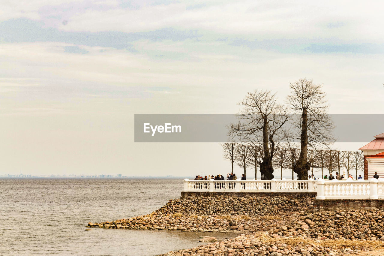 Bare trees by sea against sky