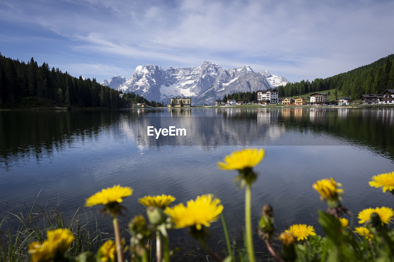 water, nature, mountain, beauty in nature, scenics - nature, plant, lake, flower, flowering plant, sky, landscape, mountain range, environment, reflection, tranquility, tranquil scene, land, meadow, cloud, no people, wilderness, travel destinations, yellow, tree, morning, forest, travel, outdoors, freshness, springtime, body of water, non-urban scene, wildflower, snow, day, tourism, idyllic, cold temperature, mountain peak, autumn