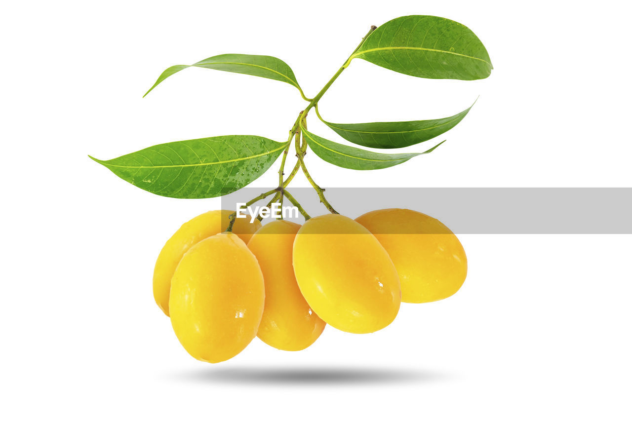 CLOSE-UP OF LEMON AGAINST WHITE BACKGROUND