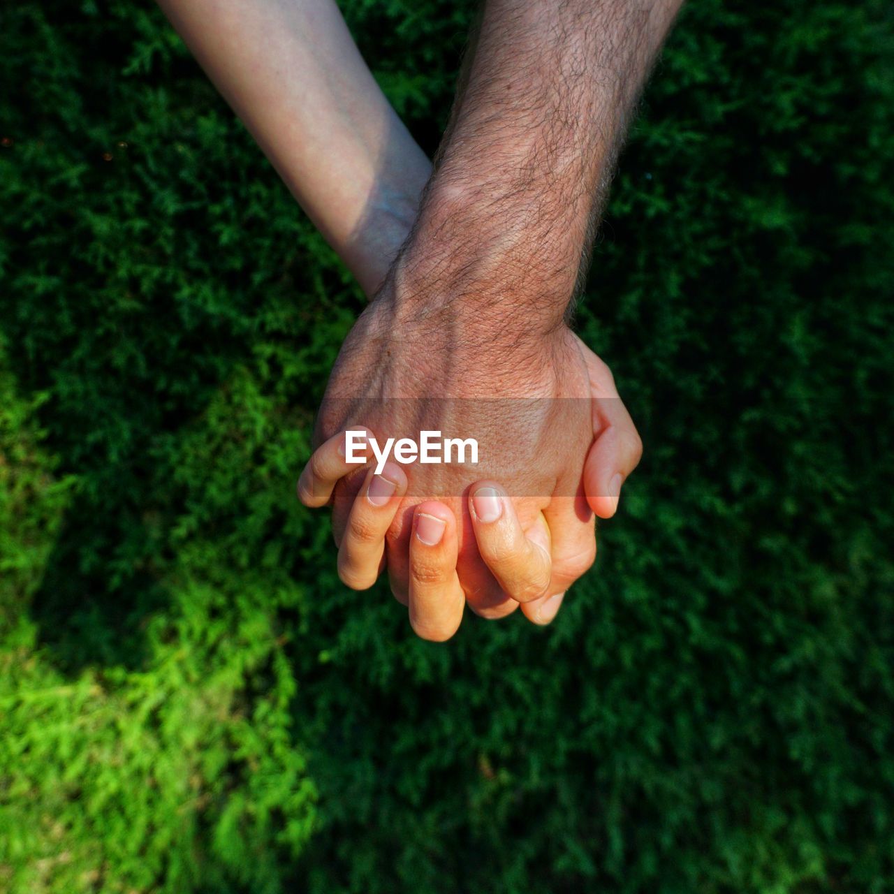 Low section of unrecognizable couple holding hands on grass