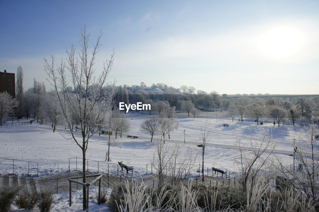 View of park in winter