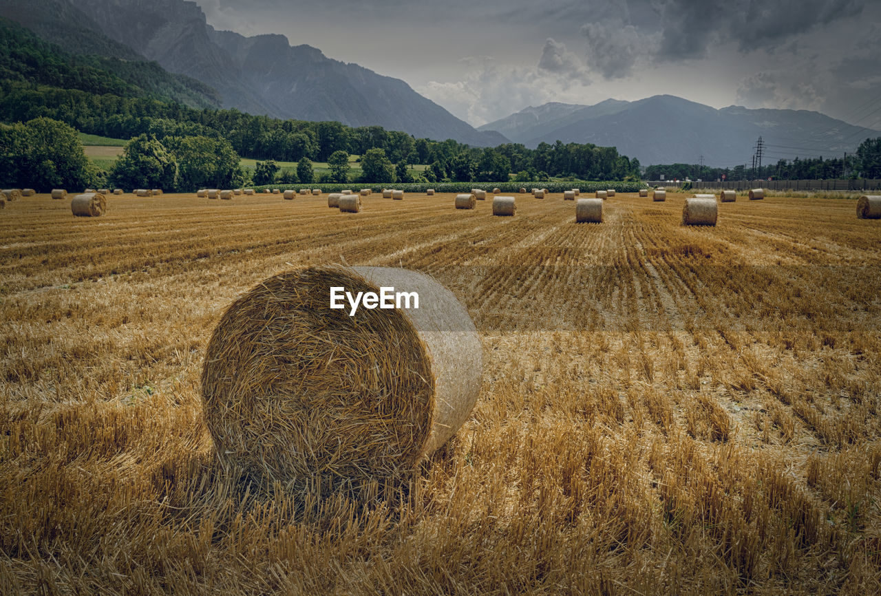 Hay bales on field against sky