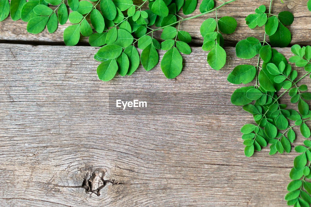 Directly above shot of leaves on table