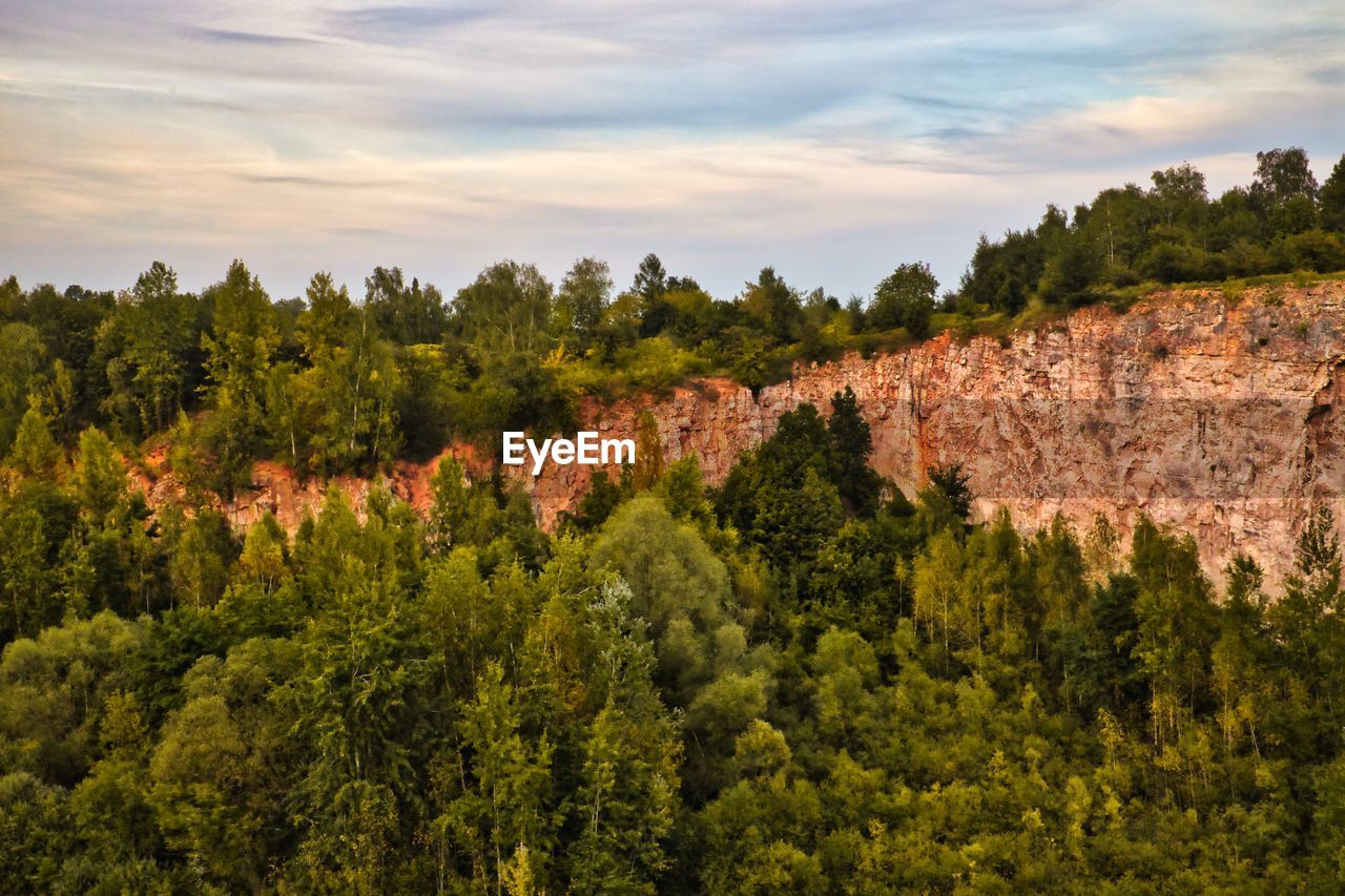 Scenic view of forest with red rocks against sky