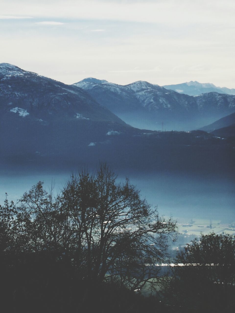 Trees and mountains in foggy weather