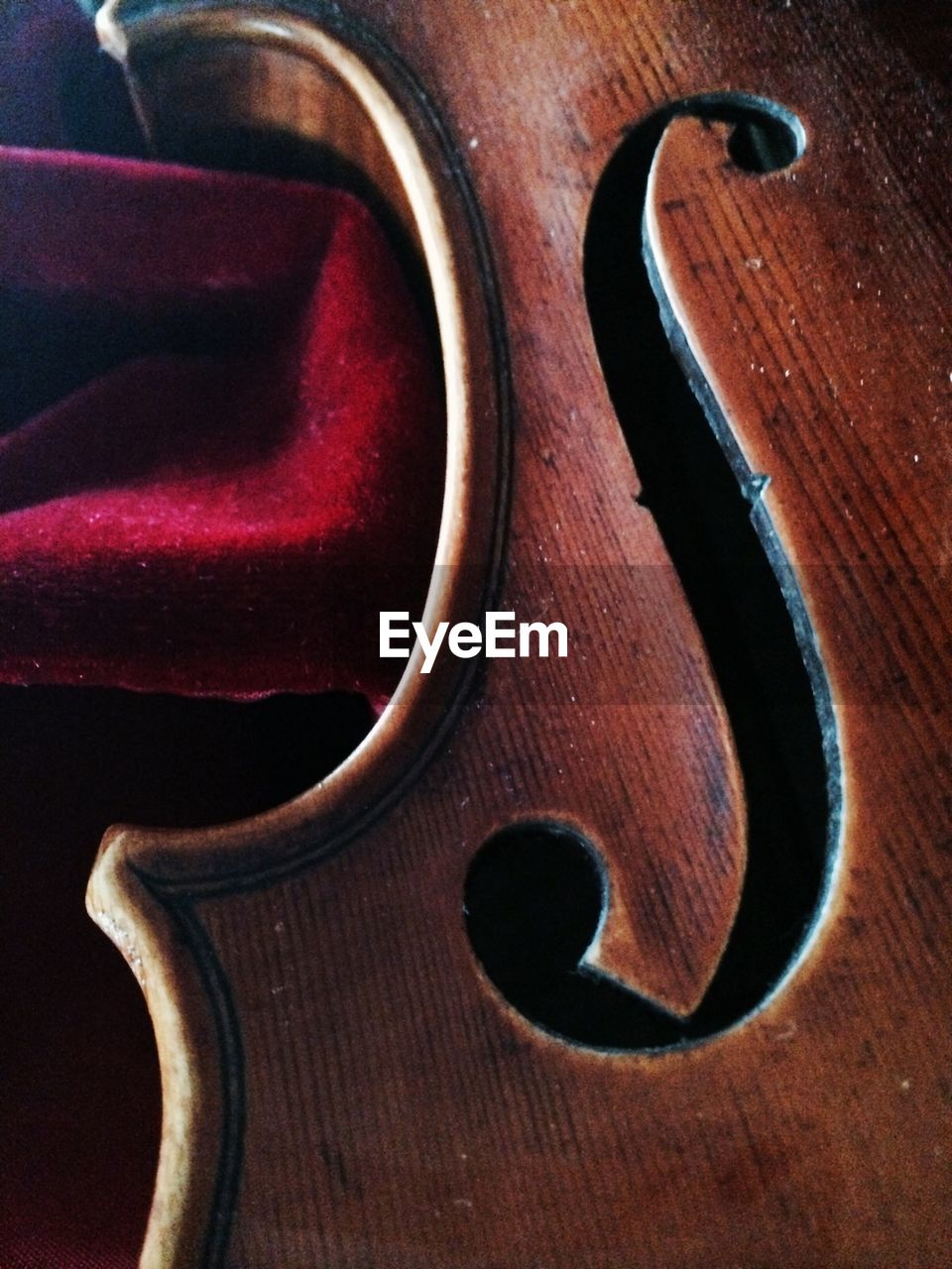 Close-up of violin