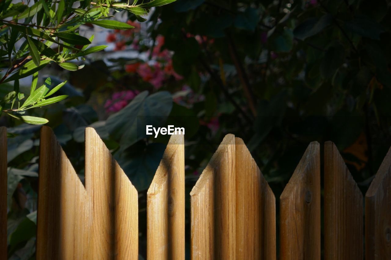 CLOSE-UP OF FENCE AGAINST TREES