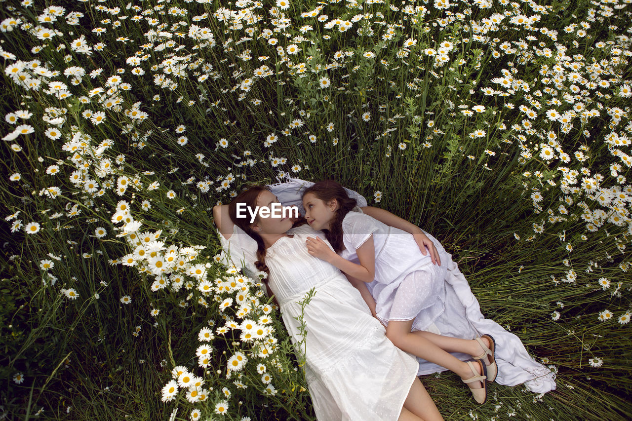 Mother with daughter in a white dress lie on a camomile field