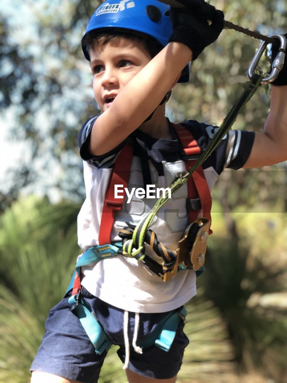 Boy climbing in harness