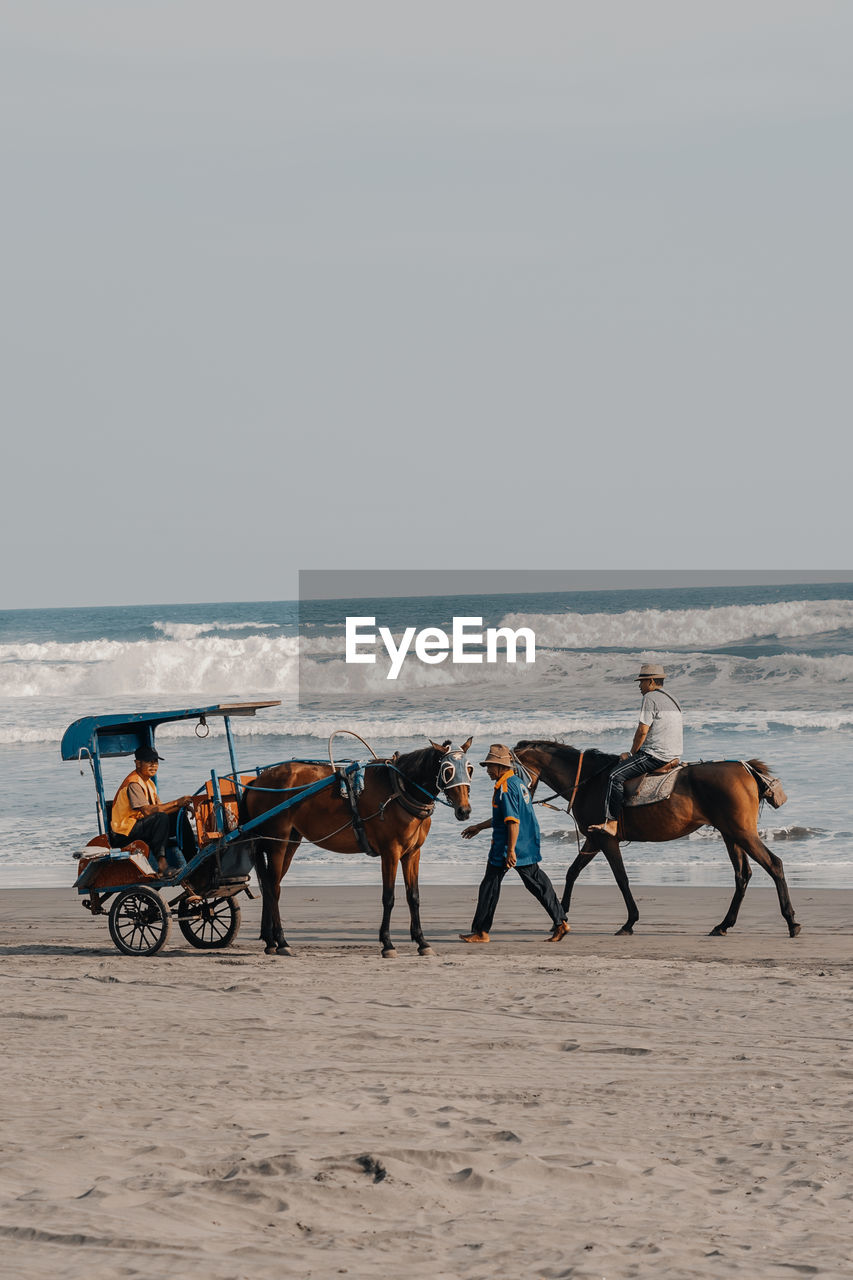 PEOPLE RIDING HORSE AT BEACH