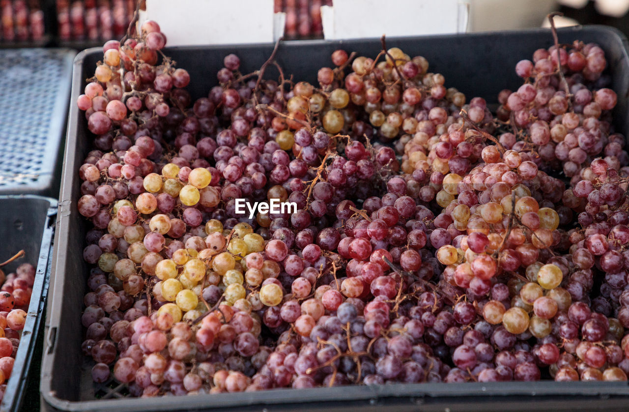 Bunches of red flame grapes in a basket sold at a farmers market and grown locally 