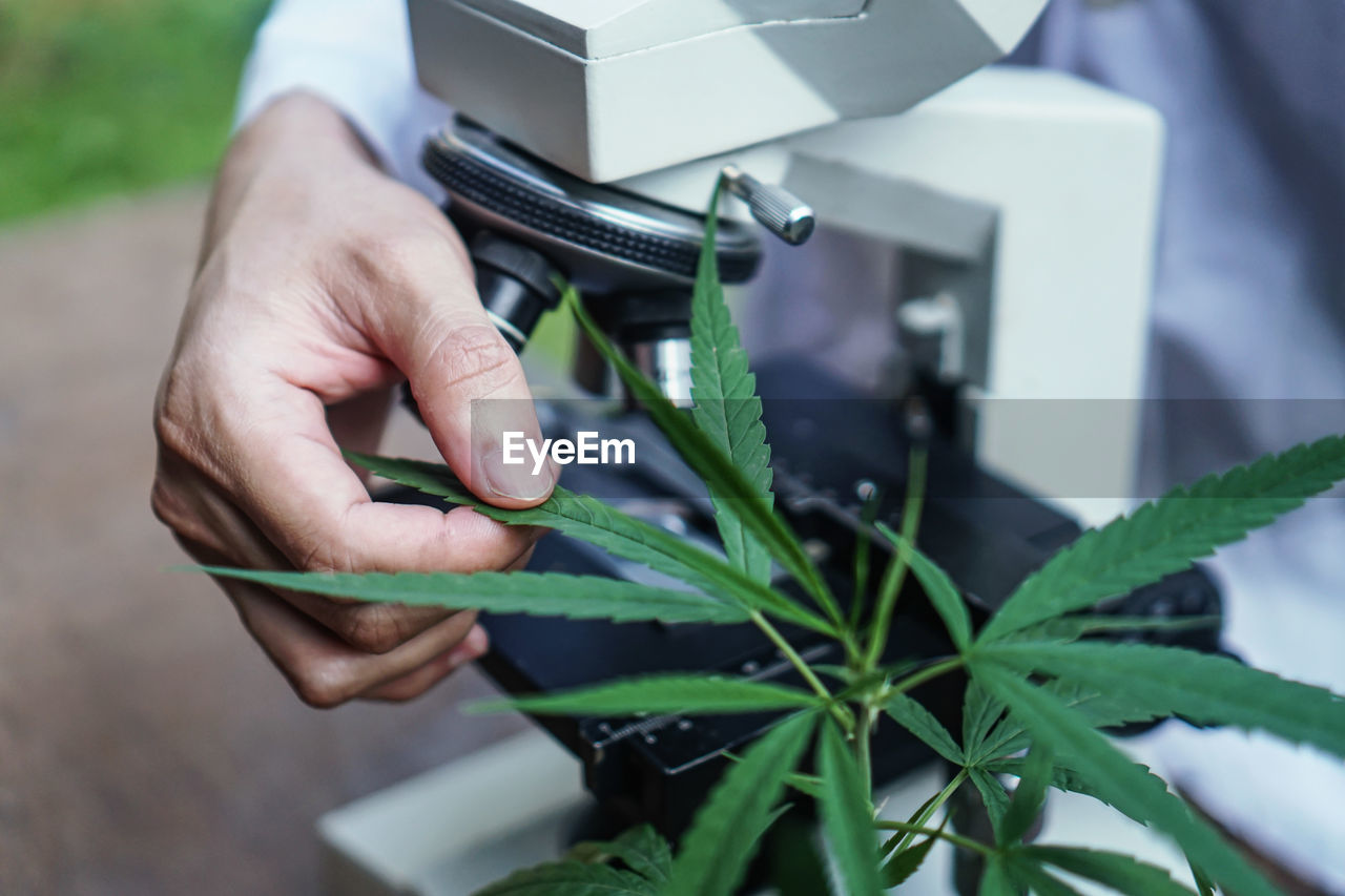 CLOSE-UP OF MAN WORKING WITH PLANT