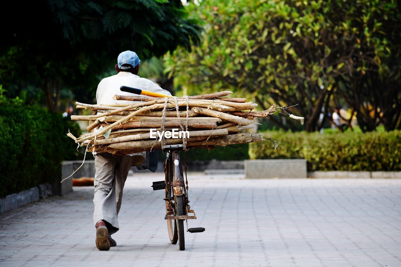 Rear view of man with firewood on bicycle